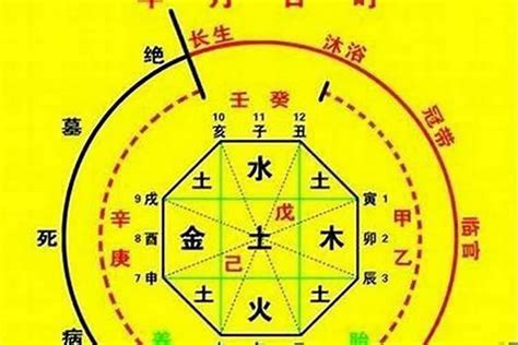 十神相生|【基礎教學】八字十神是什麼？10個十神與格局說明